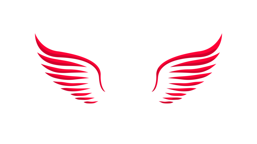wing Logo PNG transparent image