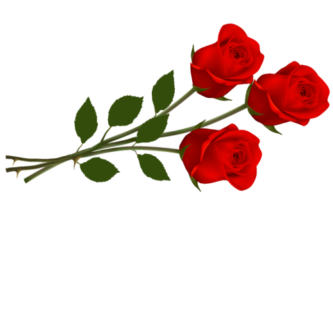 flowers png images download