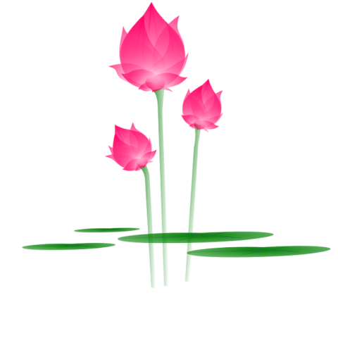 Flowers png hd images download FREE