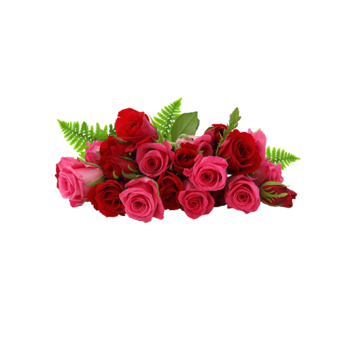 Flowers png hd images download full hd