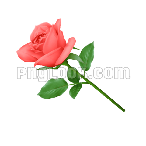 Flowers png hd images download