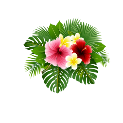 HD FLOWERS PNG IMAGES DOWNLOAD FREE