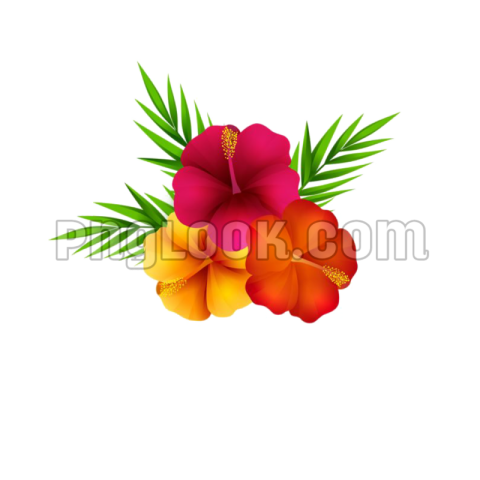 FLOWERS PNG IMAGE FREE DOWNLOAD