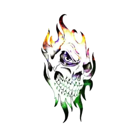 Skull PNG transparent image download