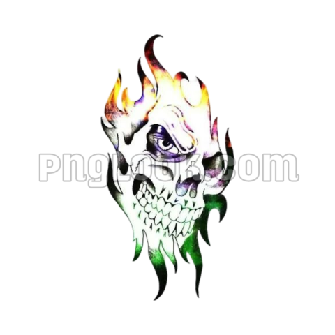 Skull PNG transparent image download