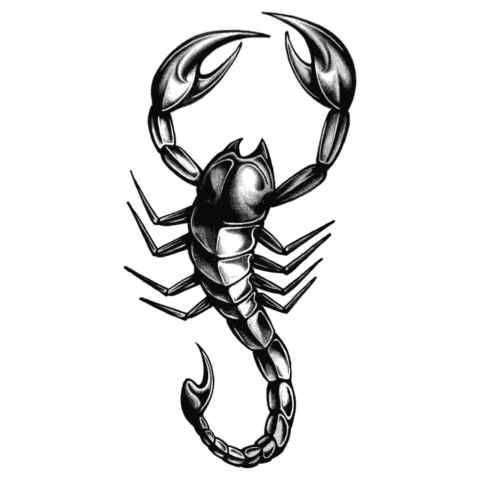 Scorpion PNG transparent image