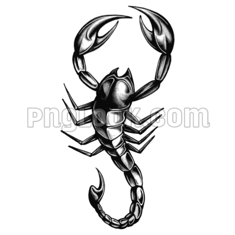 Scorpion PNG transparent image